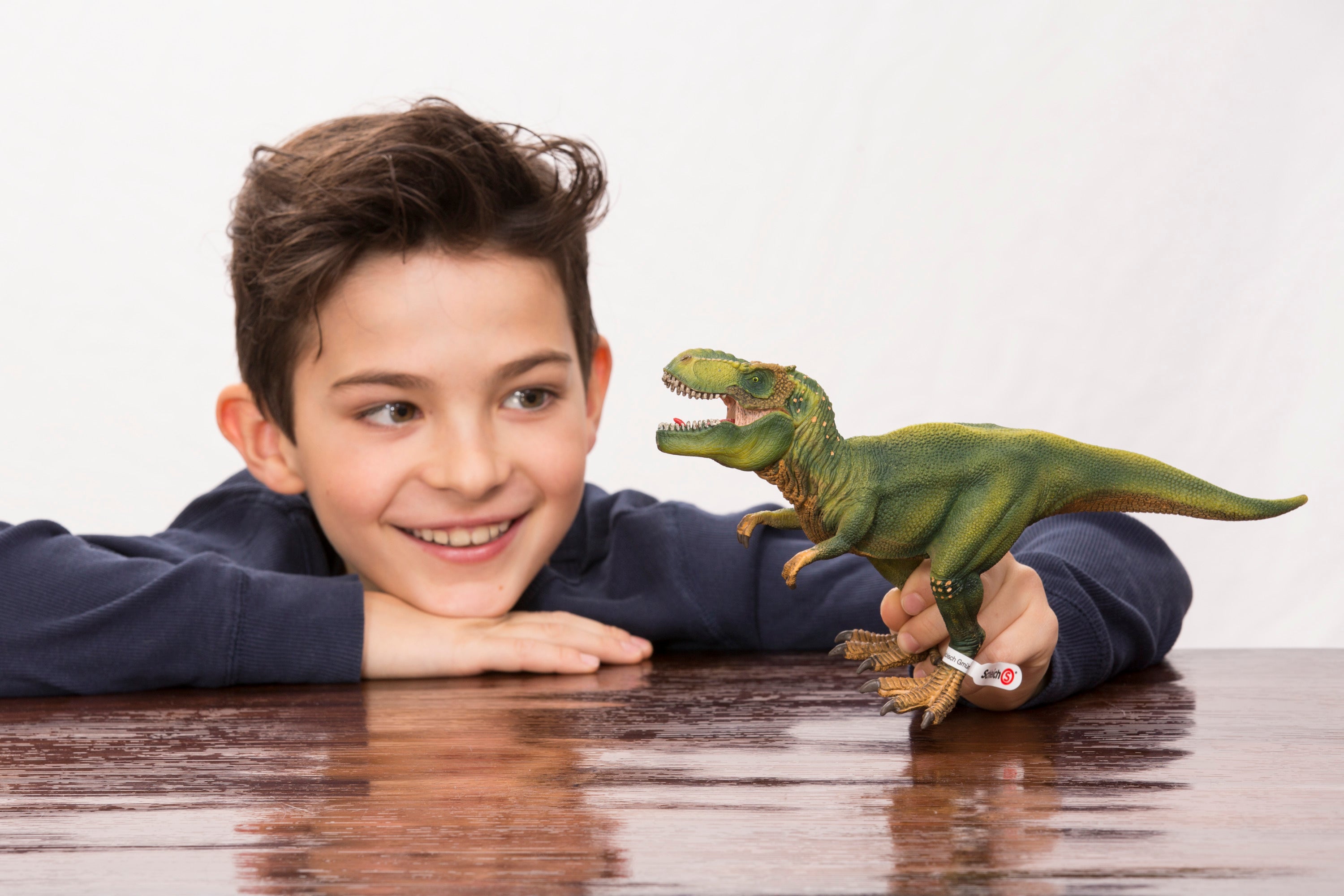 Schleich Dinosaurs