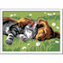 CreArt Sleeping Cats and Dogs Paint Set