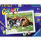 CreArt Sleeping Cats and Dogs Paint Set