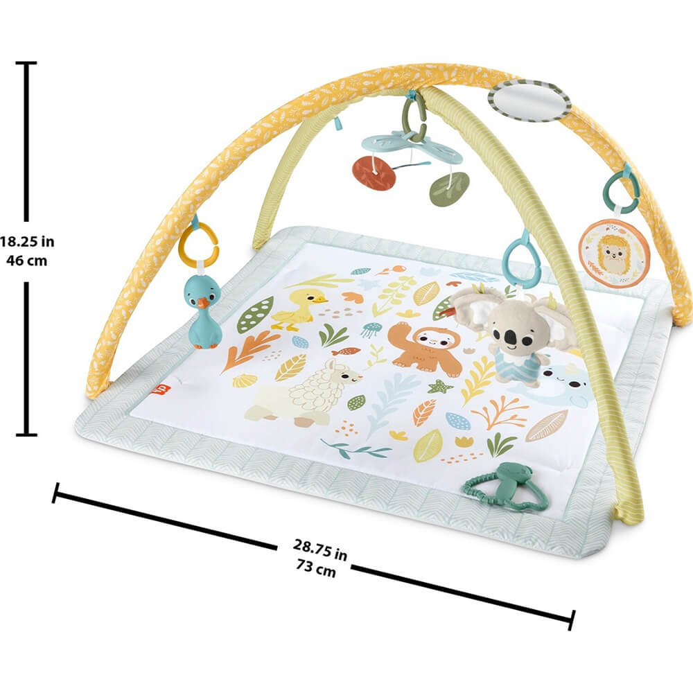 Fisher-Price Simply Senses Newborn Gym Baby Activity Mat with 6 Sensory Toys