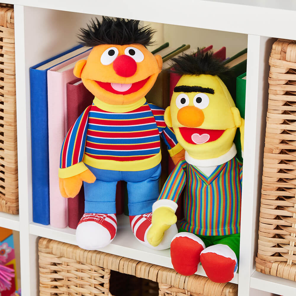 photo of elmo and bert inside the book shelf