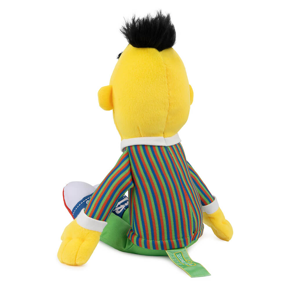 rear image of bert sesame street