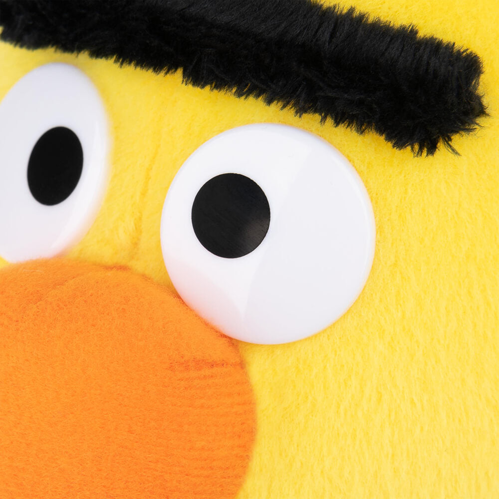 close up shot of eyes of bert sesame street 