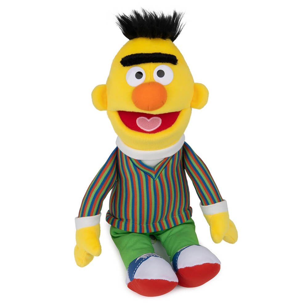 front image of bert sesame street 