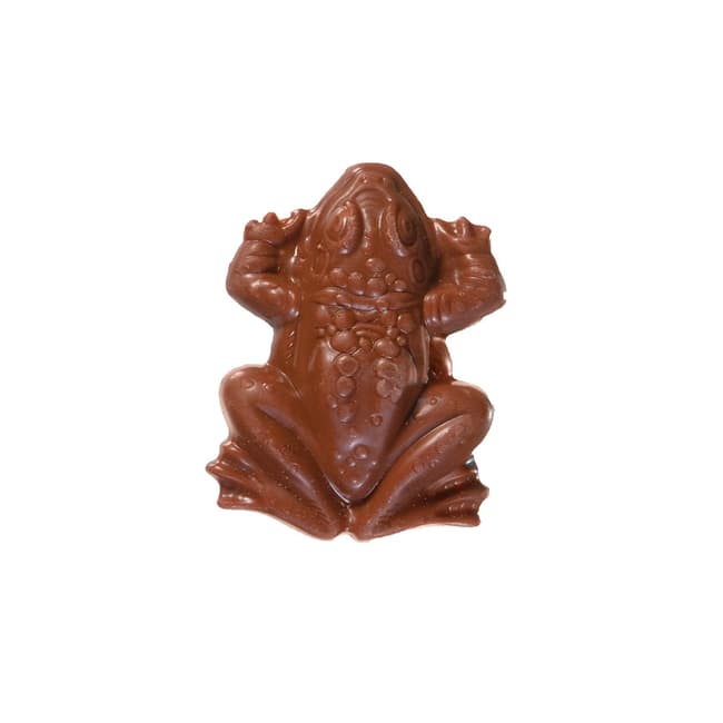 Jelly Belly Harry Potter Chocolate Frog 0.55 oz Chocolate Bar