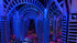 Mirror Maze Private Rental