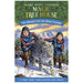 Magic Tree House #36: Sunlight on the Snow Leopard (Paperback) front cover