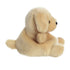 Palm Pals 5" Sunny Lab Stuffed Animal side