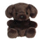 Palm Pals Sienna Chocolate Lab Stuffed Animal front