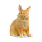 Schleich Farm World Lionhead Rabbit Figure