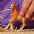 Schleich Horse Club Arabian Foal Figure