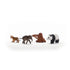 Schleich Wild Life Asia Starter Set (42736) back and side of figures