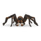 Schleich Wizarding World of Harry Potter Aragog