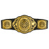 WWE Intercontinental Championship Belt