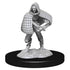 Wizkids D&D Nolzur's Marvelous Miniatures Darlkling Elder and Darklings Miniatures