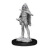 Wizkids D&D Nolzur's Marvelous Miniatures Darlkling Elder and Darklings Miniatures