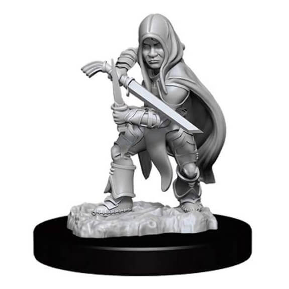 Wizkids D&D Nolzur's Marvelous Miniatures Halfling Rogue Miniatures