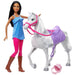 Barbie Doll and Horse Playset with Accessories