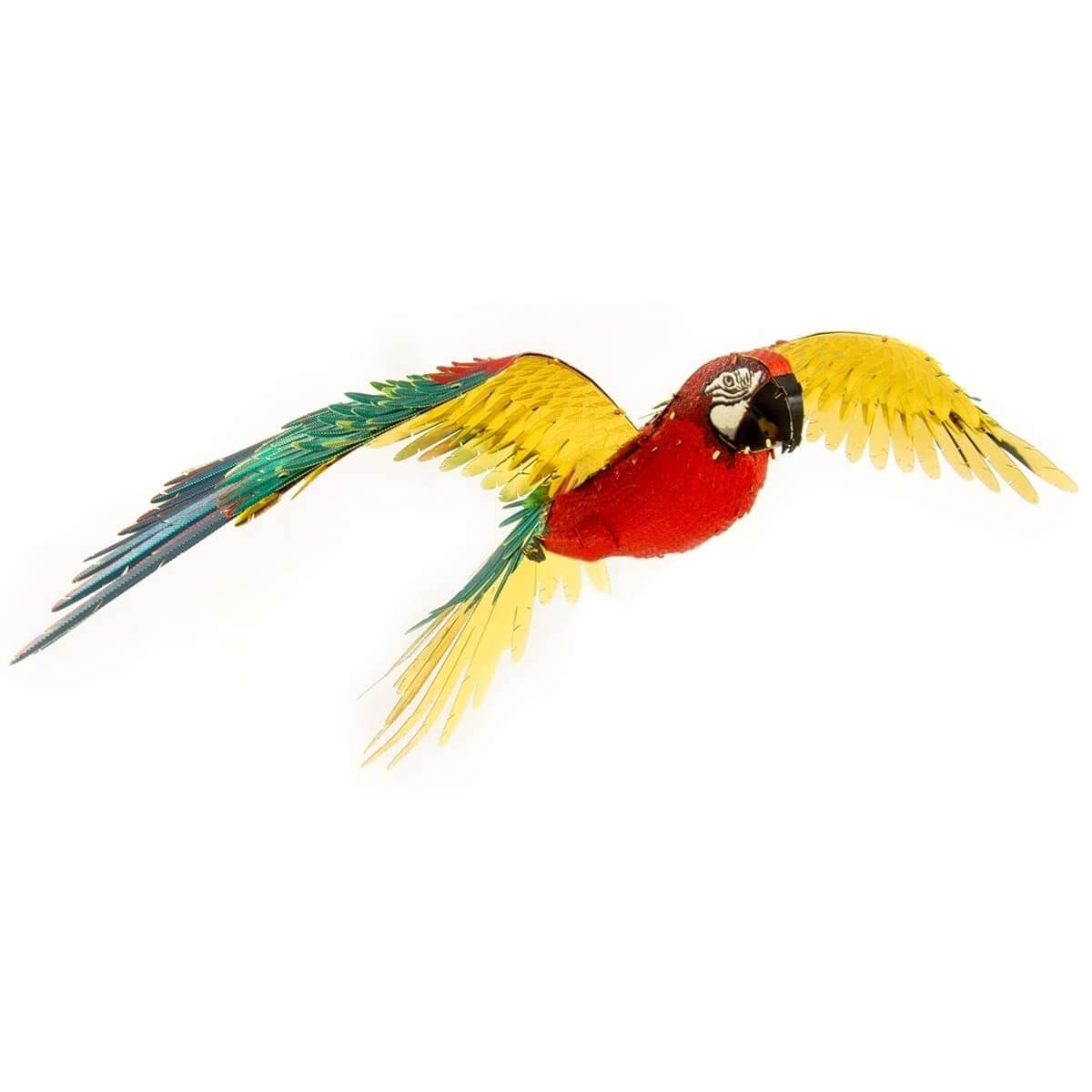 Front view of the completed parrot.