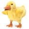 Folkmanis Duckling Hand Puppet