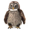 Folkmanis Hooting Owl Hand Puppet