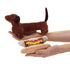 Shows the bun with catsup and mustard removed from the dachshund puppet.