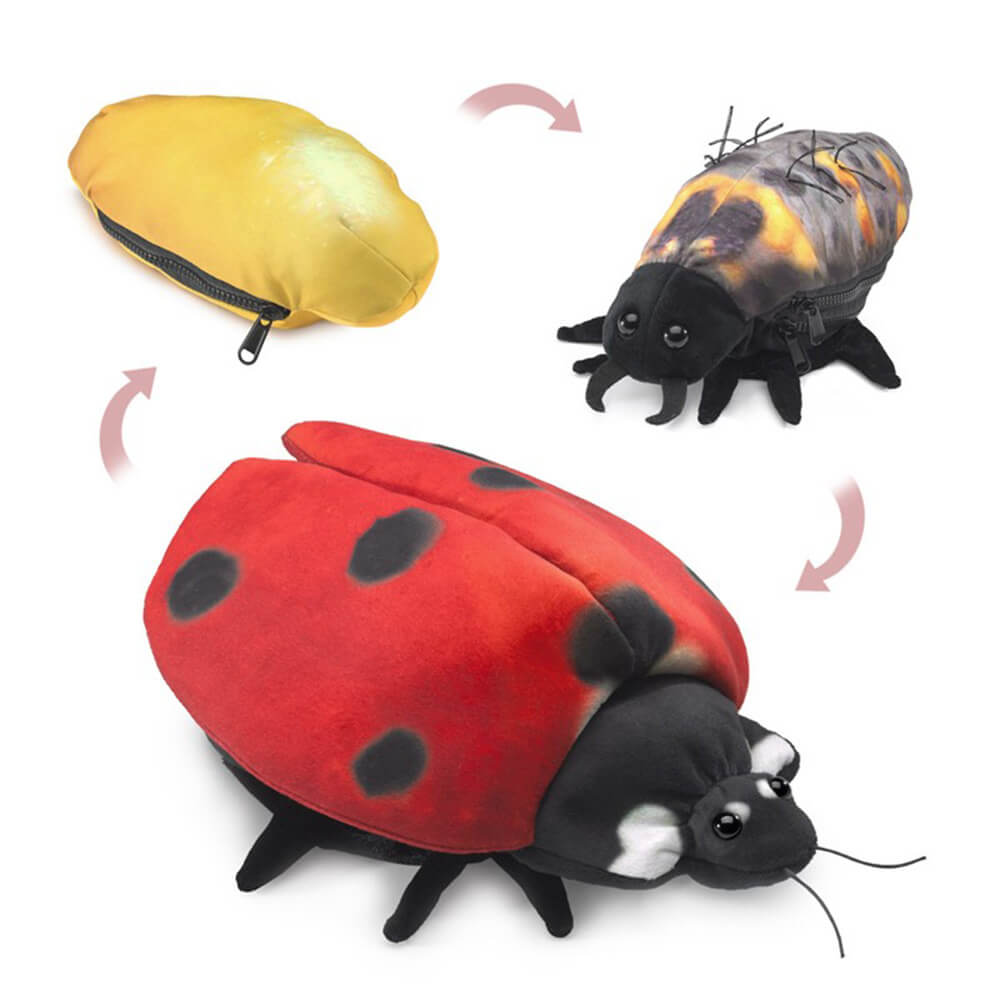 Folkmanis Ladybug Life Cycle Hand Puppet