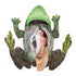 Folkmanis Life Cycle Frog Reversible Puppet