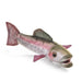 Folkmanis Mini Rainbow Trout Finger Puppet