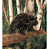 Folkmanis Porcupine Hand Puppet