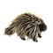 Folkmanis Porcupine Hand Puppet