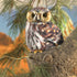 Folkmanis Pygmy Owl Hand Puppet