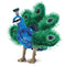 Folkmanis Small Peacock Hand Puppet