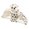 Folkmanis Snowy Owl Turning Head Puppet