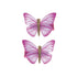 Front view of the Great Pretenders Butterfly Wishes 2 Piece Hair Clip Set.