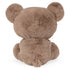 Gund Kai the Taupe Teddy Bear 12" Plush