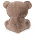 Gund Kai the Taupe Teddy Bear 23" Plush