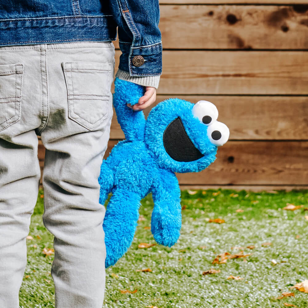 Gund Sesame Street Take Along Buddy Cookie Monster 13