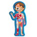 Hape Human Body Puzzle