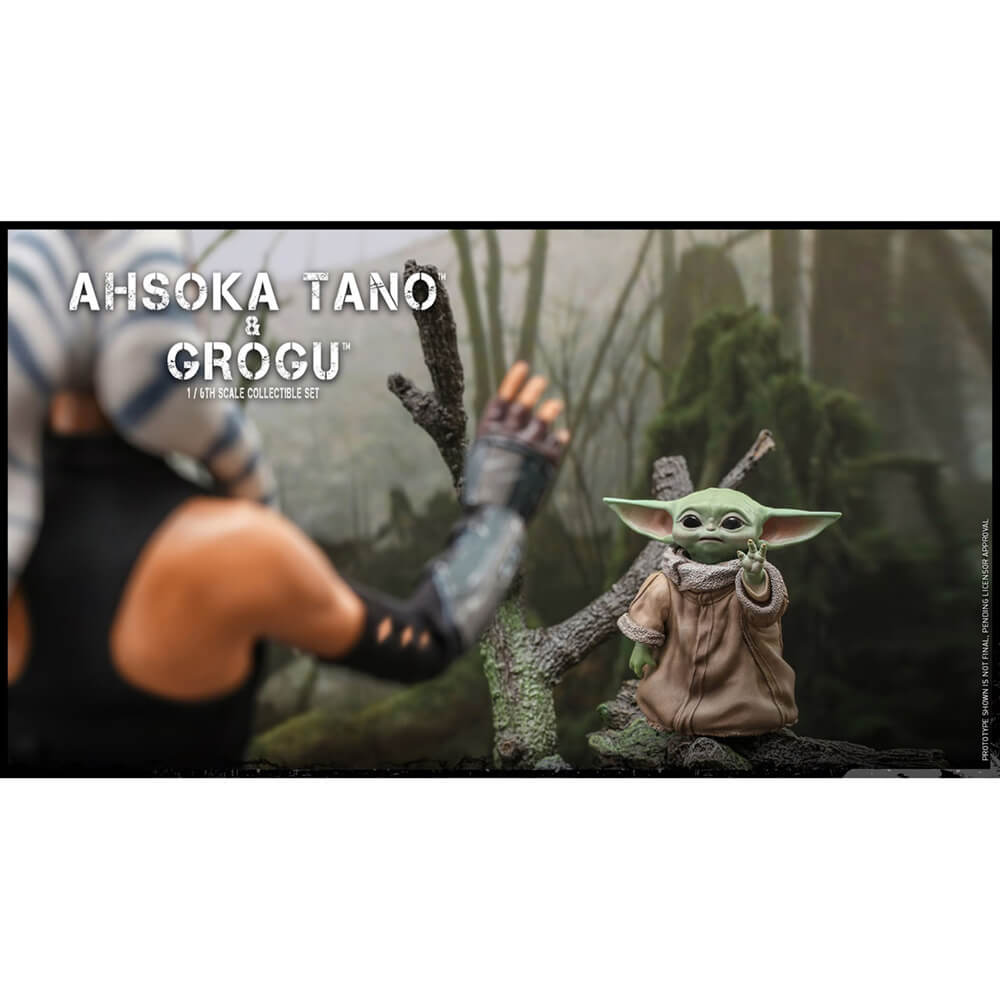 Hot Toys Ahsoka Tano and Grogu Sixth Scale Figure