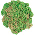 Kinetic Sand 4.5 oz Seashell Green