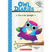 Owl Diaries #13: Eva in the Spotlight (Paperback)