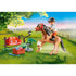 PLAYMOBIL Country Collectible Connemara Pony (70516)