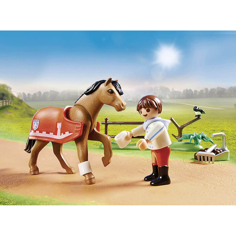 PLAYMOBIL Country Collectible Connemara Pony (70516)