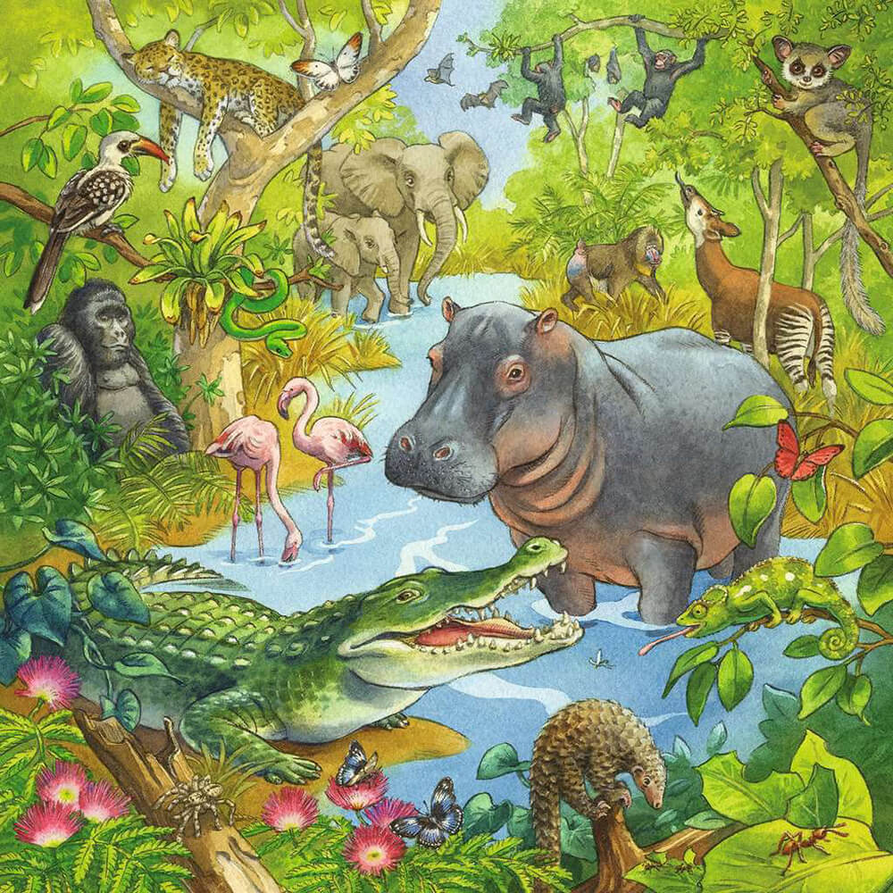 Ravensburger Jungle Fun 3 x 49 Piece Jigsaw Puzzle