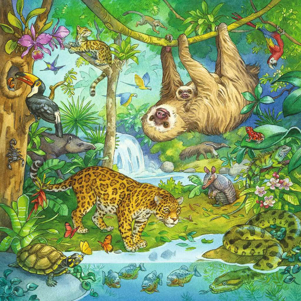 Ravensburger Jungle Fun 3 x 49 Piece Jigsaw Puzzle