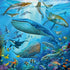 Ravensburger Ocean Life 3 x 49 Piece Puzzle