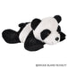 Rhode Island Novelty 3.5" Mighty Mights Panda Plush