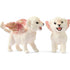 Schleich Bayala Winged Baby Lion Training Playset