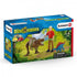 Schleich Dinosaurs Tyrannosaurus Rex Attack Playset